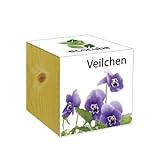 Extragreen Veilchen Cubes von Feelgreen...