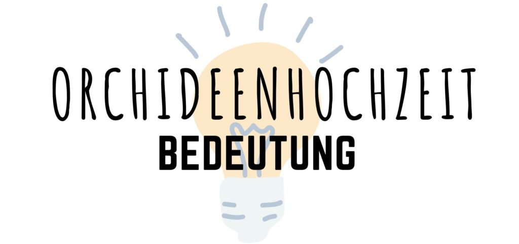 Orchideenhochzeit Bedeutung Orchideenhochzeit Bedeutung