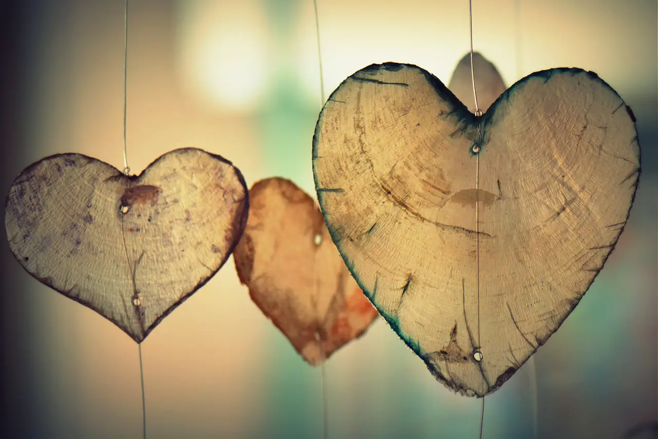 slider wood hearts